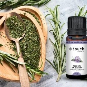 Óleo essencial de Alecrim: uso em casa