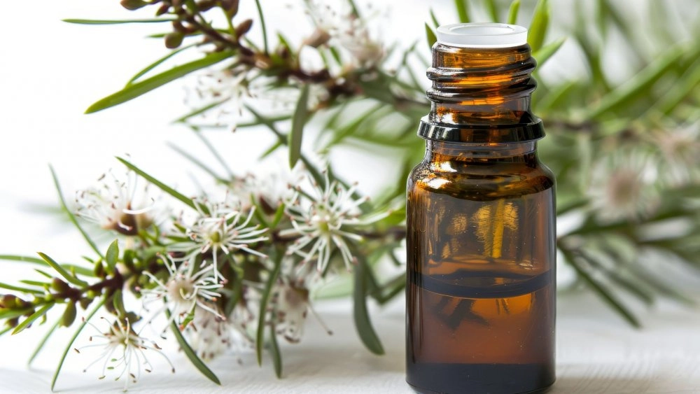 Para que serve o Óleo Essencial de Melaleuca?