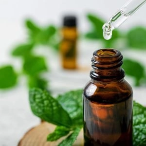 Conheça as vantagens dos óleos essenciais